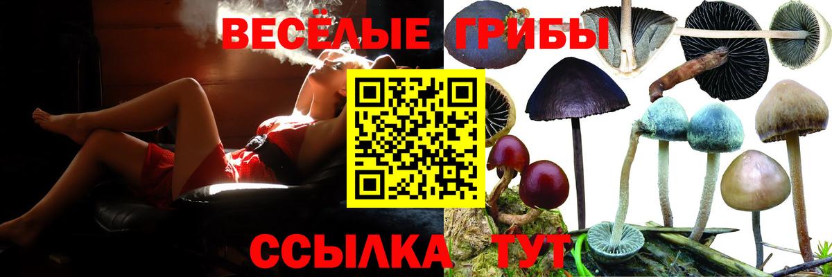где можно купить наркотик  Галлюциногенные грибы Psilocybe  Вход с VPN  Надым 